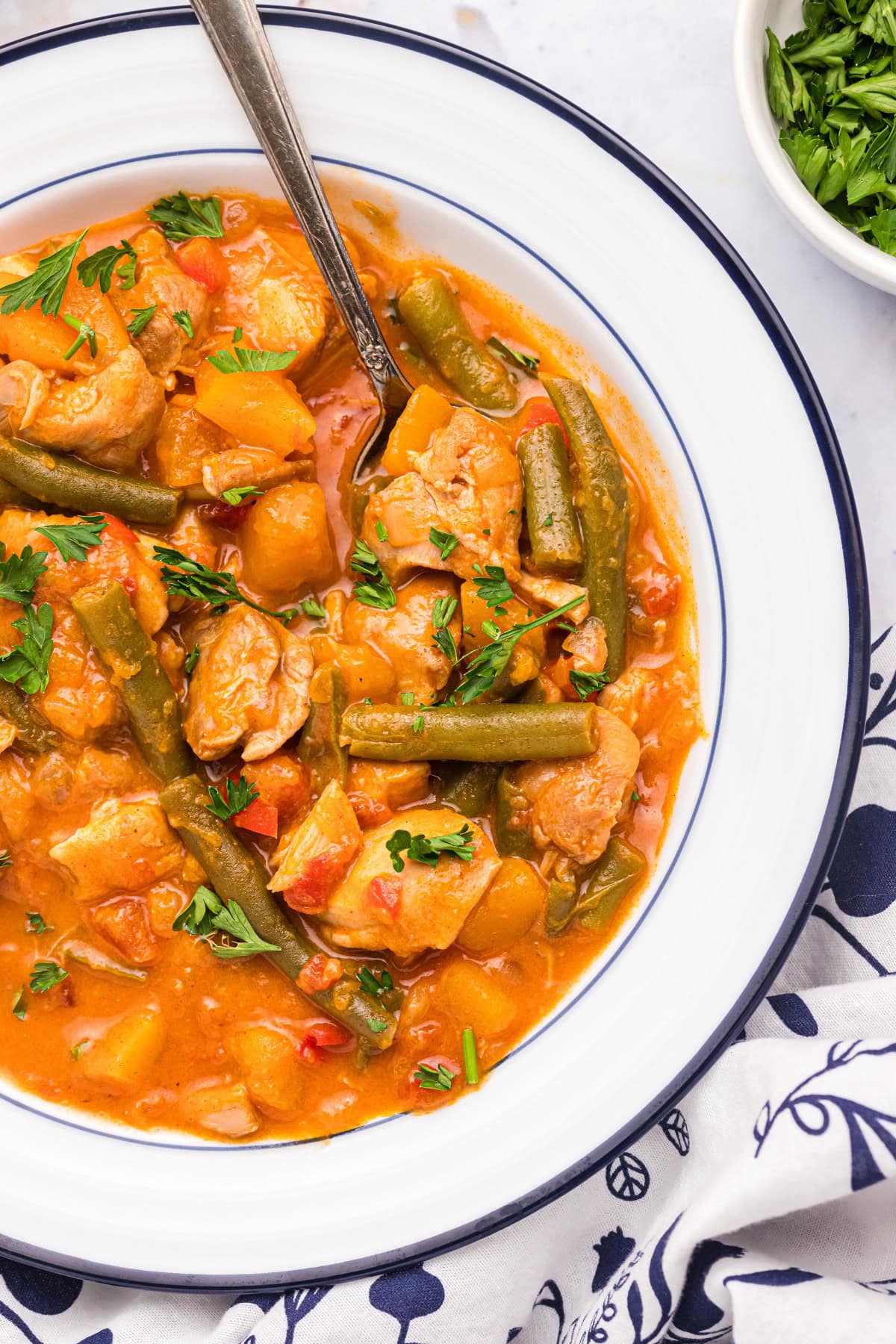 close up of bowl of chicken pumpkin stew