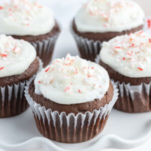 chocolate cupcakes with peppermint icing