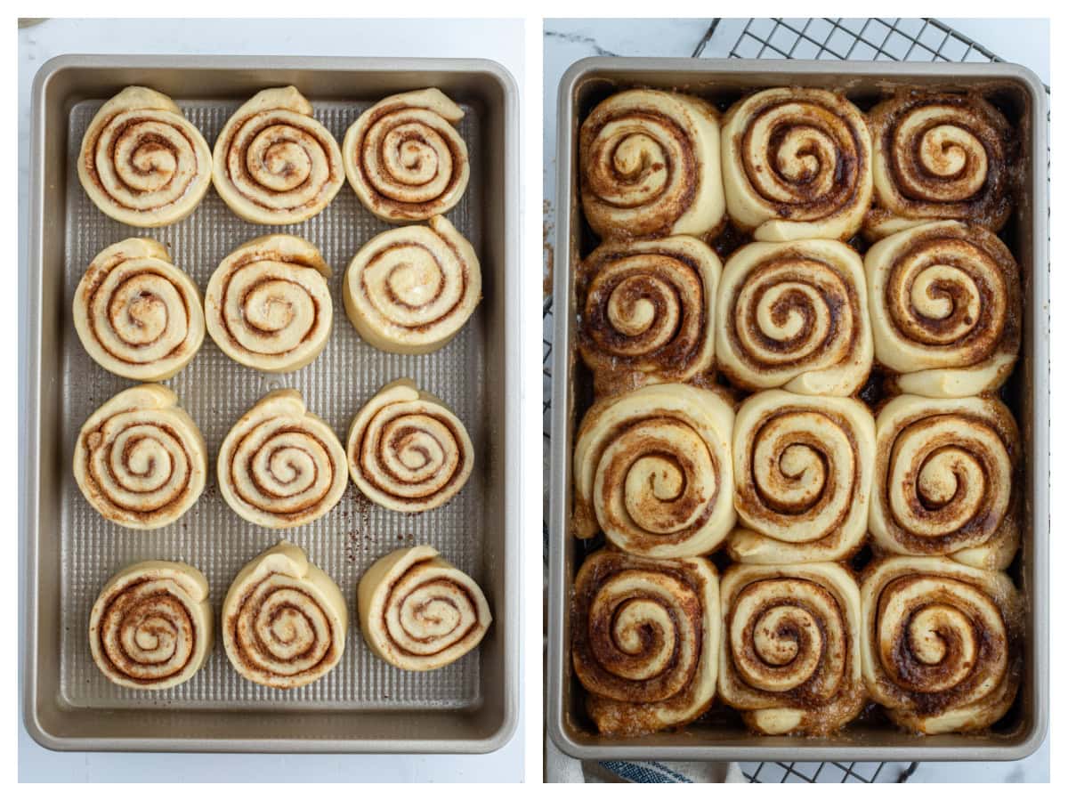 two photos showing cinnamon rolls in pan and then risen in 2nd photo