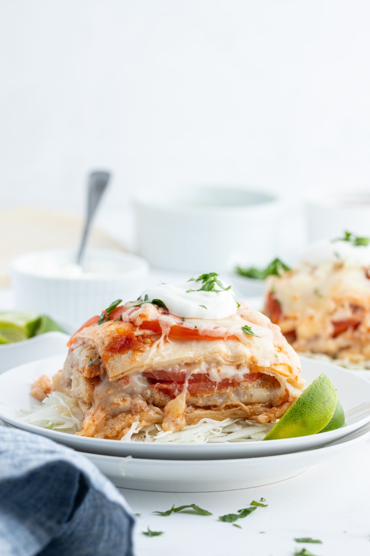 serving of fish taco casserole on plate