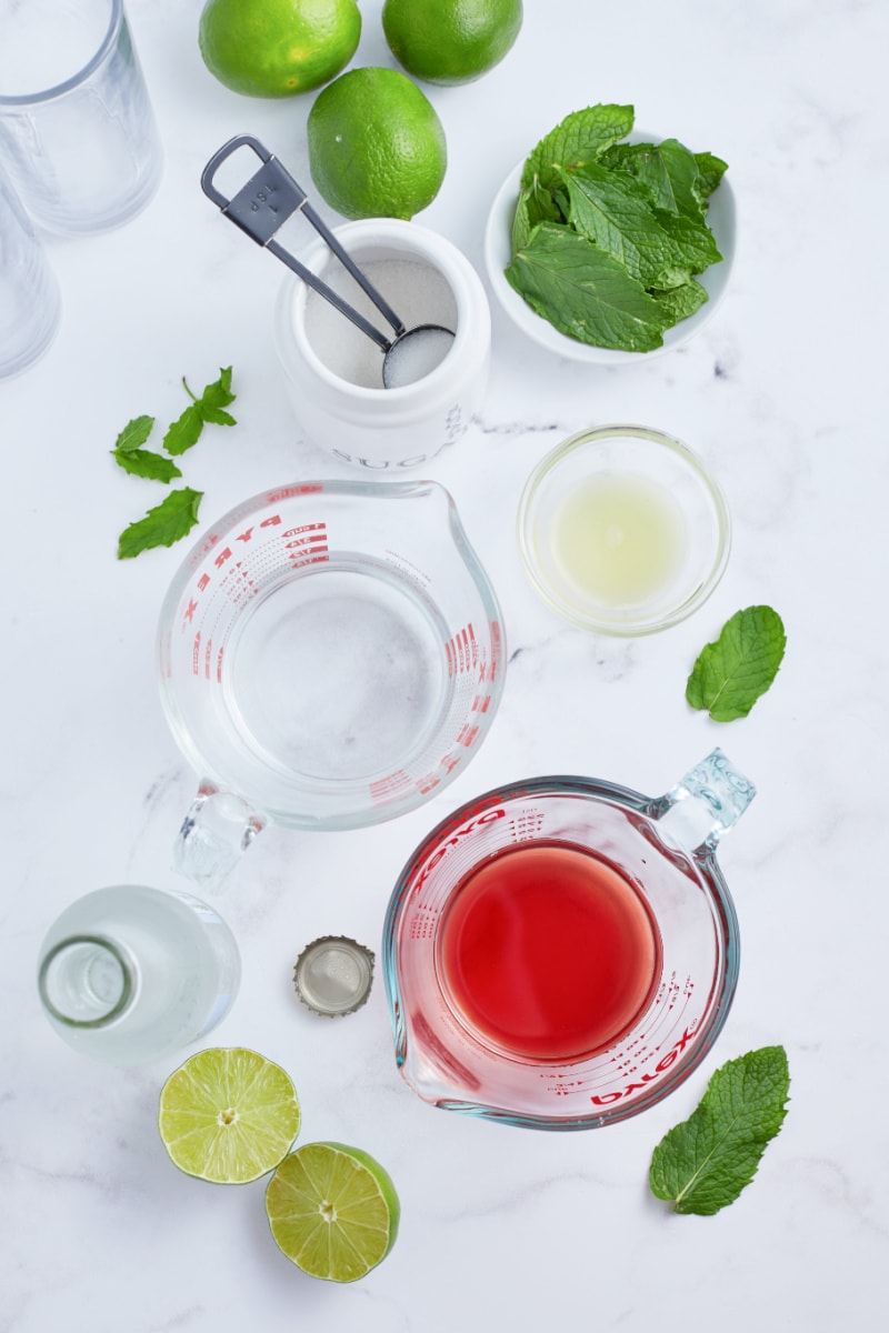 ingredients displayed for making pomegranate mojitos