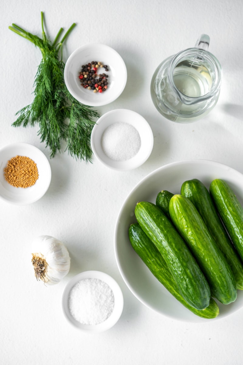 ingredients displayed for making dill pickles